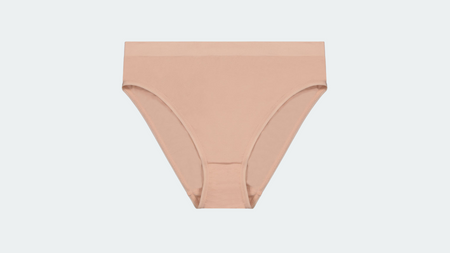 Nude Bikini Brief on Grey Background
