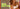 Bendon Lingerie Fayrefrom Brand Tile