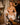 Model wears Eros Underwire Bra in SUGAR. On body front view