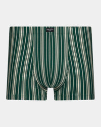 Cotton Stretch Mens Trunk in RAIN FOREST STRIPE. Flat lay front view