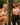 Power Underwire Bra in LATTE. Feature shot