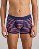 Model wears Bold Stripe Mens Trunk in MEDIEVAL/GARNET STRIPE. On body front view