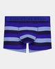 Rugby Stripe Mens Trunk in SURF/DELLA/PEACOAT. Flat lay front view
