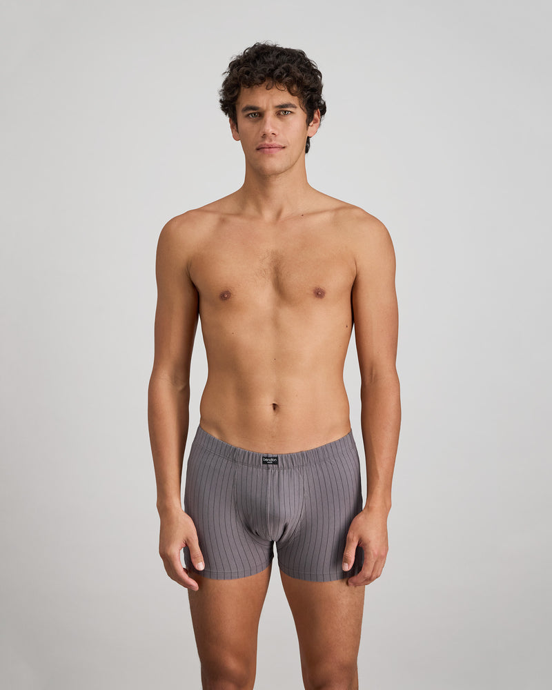 Cotton Stretch Mens Trunk in ASH PINSTRIPE. Feature shot