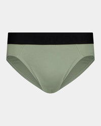Everyday Essential Mens Brief in ICEBERG GREEN. Flat lay front view